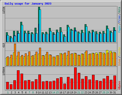 Daily usage for January 2023
