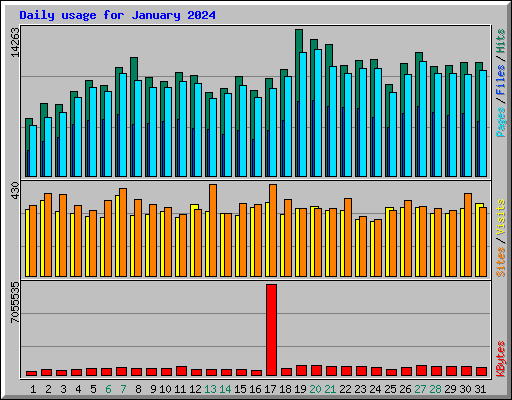 Daily usage for January 2024