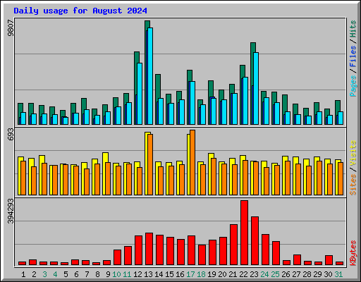 Daily usage for August 2024