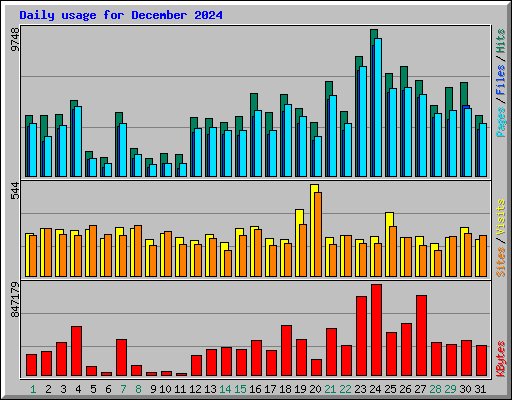 Daily usage for December 2024