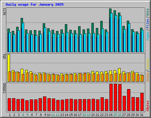 Daily usage for January 2025