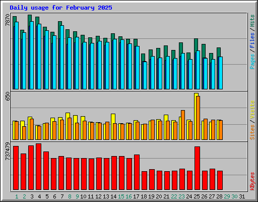 Daily usage for February 2025