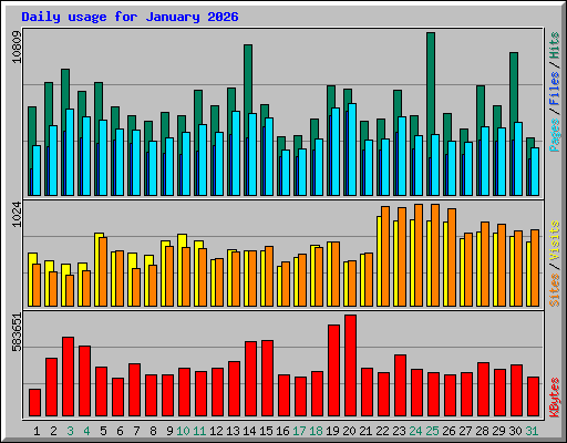 Daily usage for January 2026