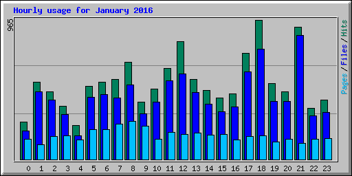 Hourly usage for January 2016