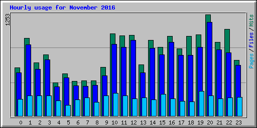 Hourly usage for November 2016