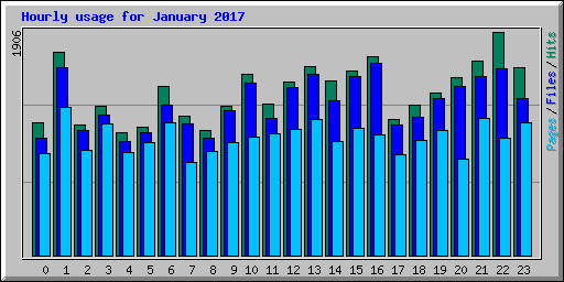 Hourly usage for January 2017