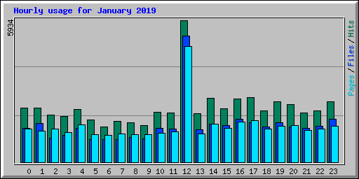 Hourly usage for January 2019