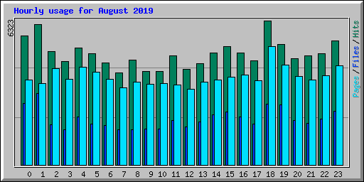 Hourly usage for August 2019