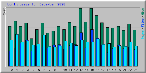 Hourly usage for December 2020