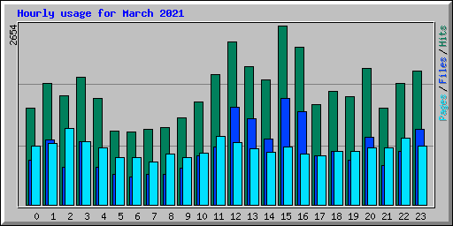 Hourly usage for March 2021