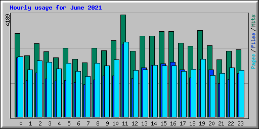 Hourly usage for June 2021