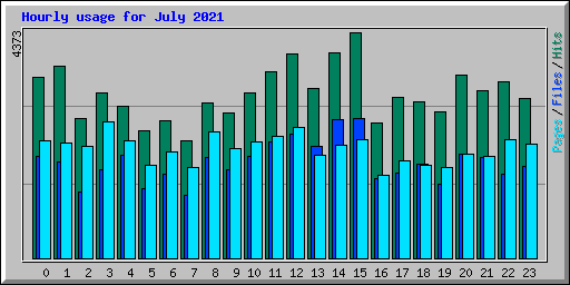 Hourly usage for July 2021