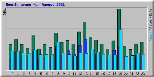 Hourly usage for August 2021