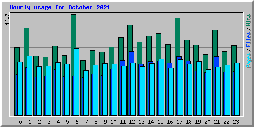 Hourly usage for October 2021