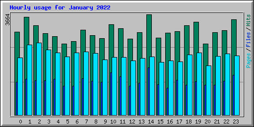 Hourly usage for January 2022