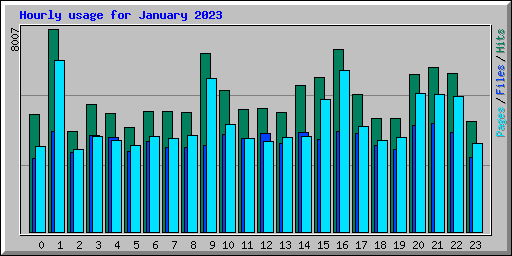 Hourly usage for January 2023