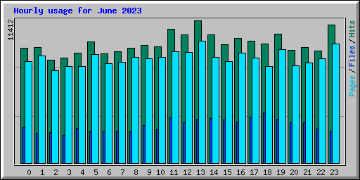 Hourly usage for June 2023