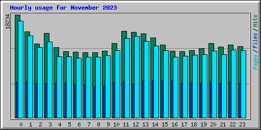 Hourly usage for November 2023