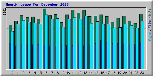 Hourly usage for December 2023