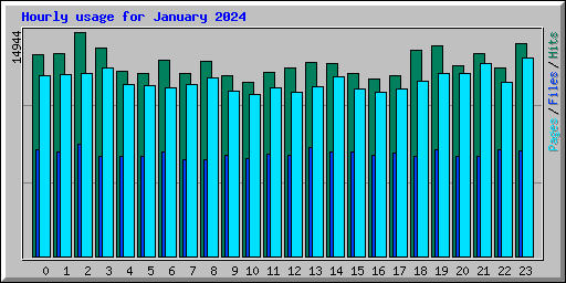 Hourly usage for January 2024