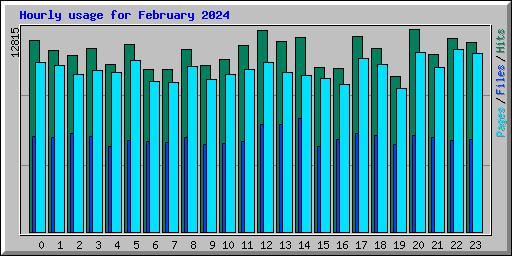 Hourly usage for February 2024