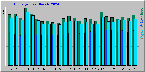 Hourly usage for March 2024