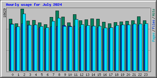 Hourly usage for July 2024