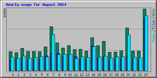Hourly usage for August 2024