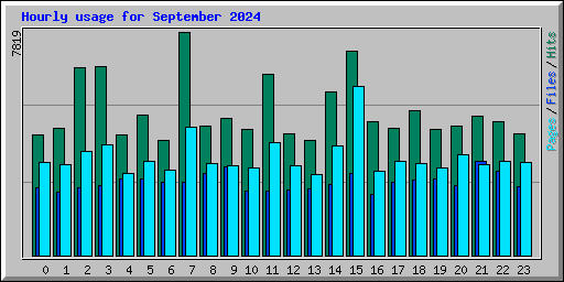 Hourly usage for September 2024