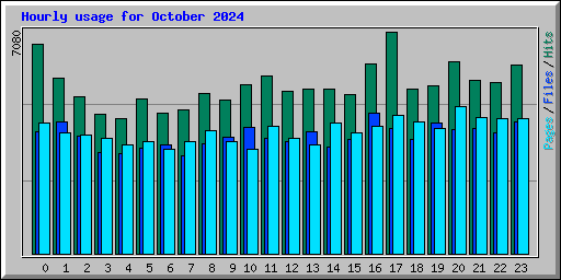 Hourly usage for October 2024