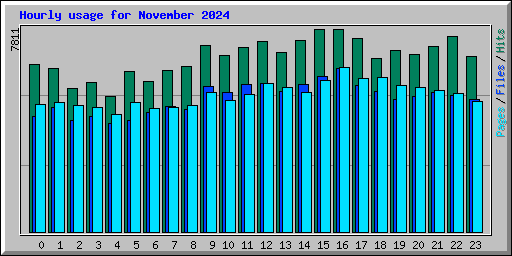 Hourly usage for November 2024