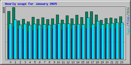Hourly usage for January 2025