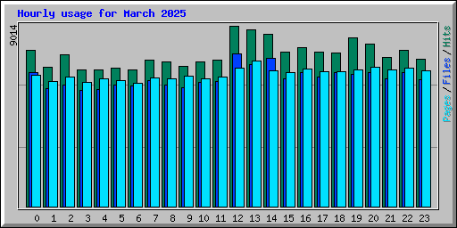 Hourly usage for March 2025