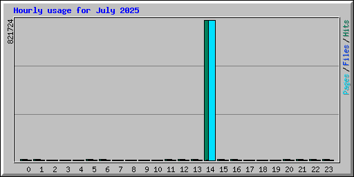 Hourly usage for July 2025