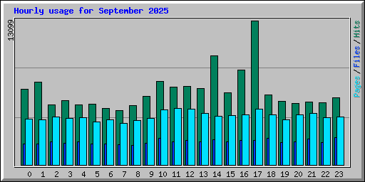Hourly usage for September 2025
