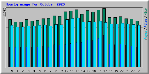 Hourly usage for October 2025