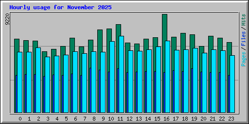 Hourly usage for November 2025