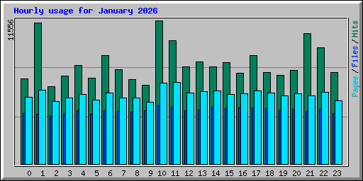 Hourly usage for January 2026