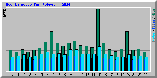 Hourly usage for February 2026