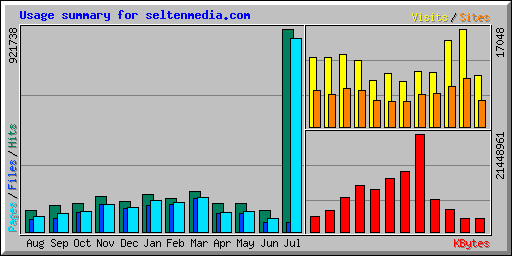 Usage summary for seltenmedia.com